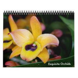 Uitstekende Orchideeën kalender