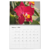 Uitstekende Orchideeën kalender (Feb 2026)