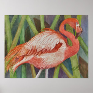 Uitstekende roze flamingo poster
