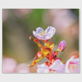 Uitstekende roze Sakura-ventilator Cadeaupapier (Vlak)