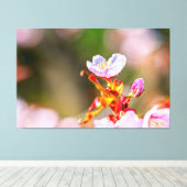 Uitstekende roze Sakura-ventilator in Springtime Canvas Afdruk (Insitu (Houten vloer))