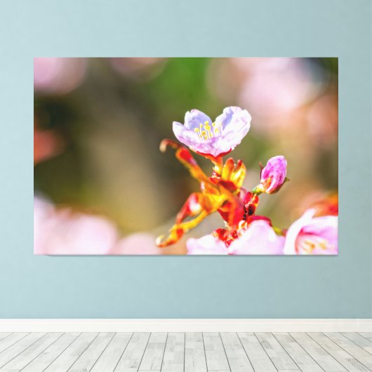 Uitstekende roze Sakura-ventilator in Springtime Canvas Afdruk (Insitu (Houten vloer))