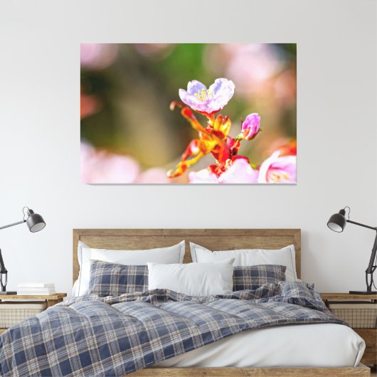 Uitstekende roze Sakura-ventilator in Springtime Canvas Afdruk (Insitu (Slaapkamer))