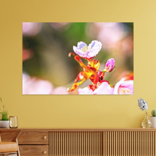 Uitstekende roze Sakura-ventilator in Springtime Canvas Afdruk (Insitu (Woonkamer))