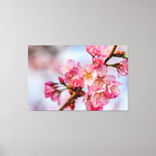 Uitstekende schoonheid van roze Sakura-bloemen in Canvas Afdruk