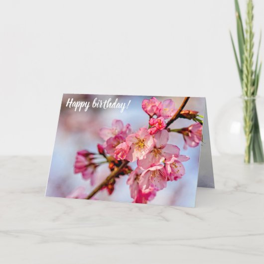 Uitstekende schoonheid van roze Sakura-bloemen in  Kaart (Voorkant)