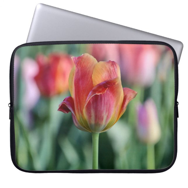 Uitstekende Tulp Laptophoes Laptop Sleeve (Voorkant)