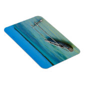 Uitstekingskano in de Shallow Ocean Magneet (Rechterzijde)