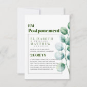 Uitstel van de Griekse regering Eucalyptus (Voorkant)