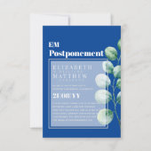 Uitstel van de Griekse regering Eucalyptus (Voorkant)