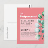 Uitstel van de Griekse regering Eucalyptus Briefkaart (Voorkant / Achterkant)