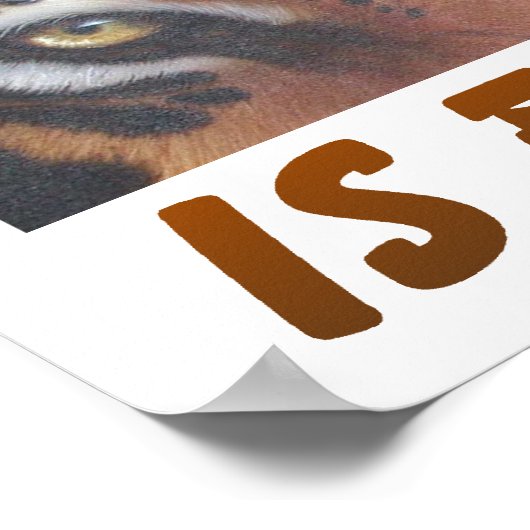 Uitsterven is voor altijd. poster (Hoek)