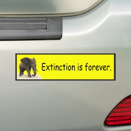 Uitsterven is voor eeuwig - Bumpersticker (Op auto)