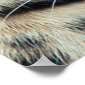 Uitsterven Poster (Hoek)