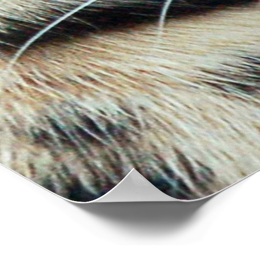 Uitsterven Poster (Hoek)