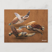 Uitsterven van zee schildpadden bespaart de schild briefkaart (Achterkant)