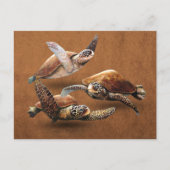 Uitsterven van zee schildpadden bespaart de schild briefkaart (Voorkant)