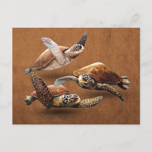 Uitsterven van zee schildpadden bespaart de schild briefkaart (Voorkant)