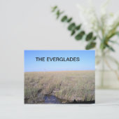UITSTREKKING VAN DE EVERGLADES BRIEFKAART (Staand voorkant)
