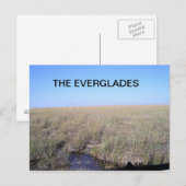 UITSTREKKING VAN DE EVERGLADES BRIEFKAART (Voorkant / Achterkant)