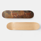 Uitvalsgevallen Skateboard (Horizontaal)