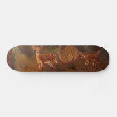 Uitvalsgevallen Skateboard (Horizontaal)