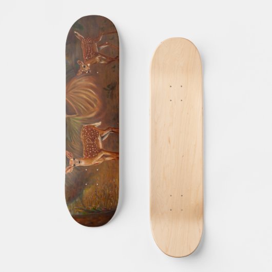 Uitvalsgevallen Skateboard (Voorkant)