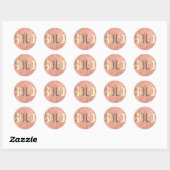 Uitverkocht Glitter Blush Faux Gold makelaar Ronde Sticker (Vel)