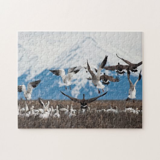 Uitvliegende ganzen legpuzzel (Horizontaal)