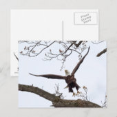 Uitvloeiing Briefkaart (Voorkant / Achterkant)