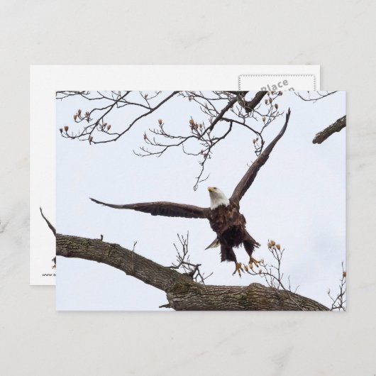 Uitvloeiing Briefkaart (Voorkant / Achterkant)