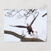 Uitvloeiing Briefkaart (Voorkant)