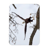 Uitvloeiing Magneet (Verticaal)