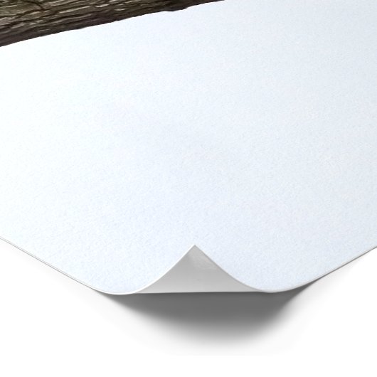 Uitvloeiing Poster (Hoek)