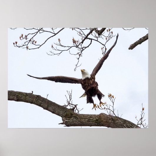 Uitvloeiing Poster (Voorkant)