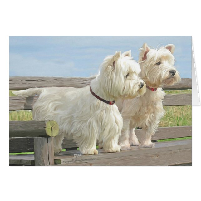 Uitvoeren (Voorkant Horizontaal)