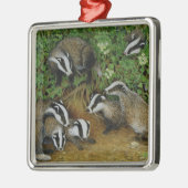 Uitvoeren Metalen Ornament (Links)