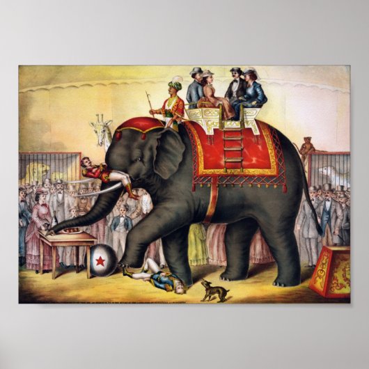 Uitvoerend olifant poster (Voorkant)