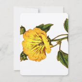 Uitwerking van gele  ventilator kaart (Achterkant)