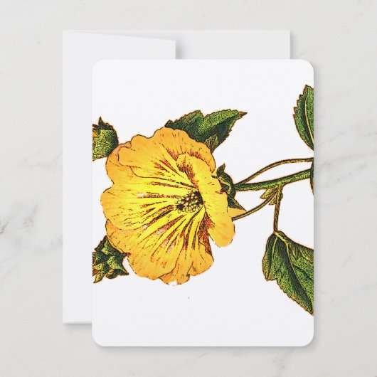 Uitwerking van gele  ventilator kaart (Achterkant)