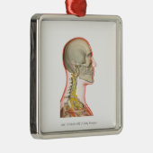 Uitwerping van de zenuwen van de nek metalen ornament (Rechts)