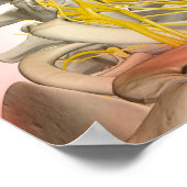 Uitwerping van de zenuwen van de nek poster (Hoek)