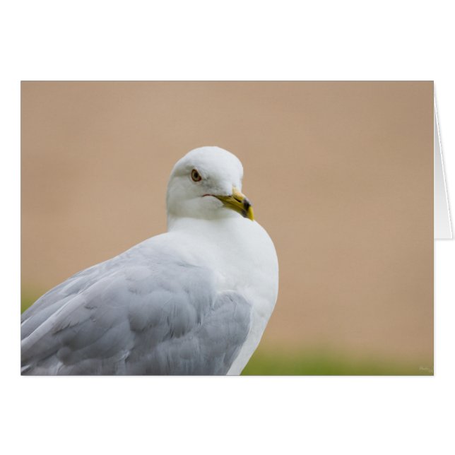 Uitzicht (Voorkant Horizontaal)