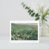 Uitzicht aan de buitenkant van Paraiso Hot Springs Briefkaart (Staand voorkant)