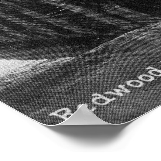 Uitzicht aan de buitenkant van sequoia poster (Hoek)