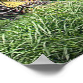 uitzicht achteraan poster (Hoek)