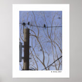 Uitzicht achterdeur poster (Voorkant)