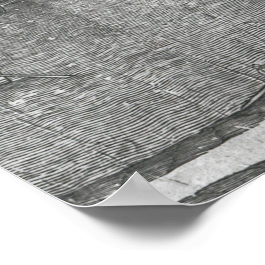 Uitzicht Antwerpen Harbour Poster (Hoek)