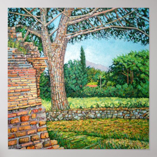 Uitzicht Appia Antica 2008 Poster (Voorkant)