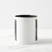 Uitzicht Bash-Bish Herfsten bij Great Barrington Mok (Midden)